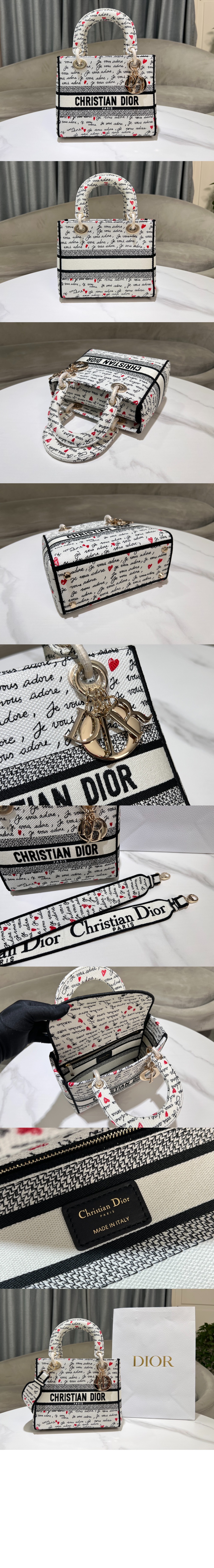 디올 레이디백 디라이트 미듐 M0565