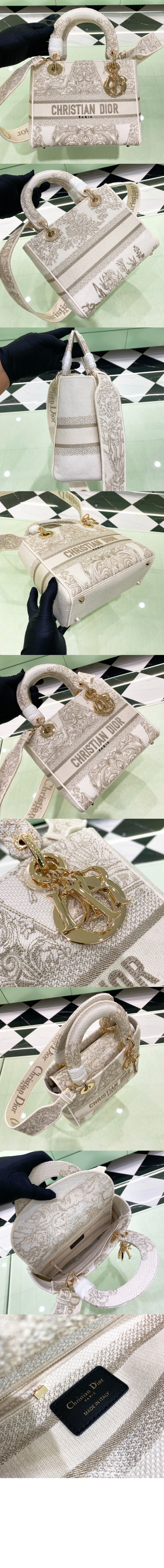 디올 레이디백 디라이트 미듐 M0565