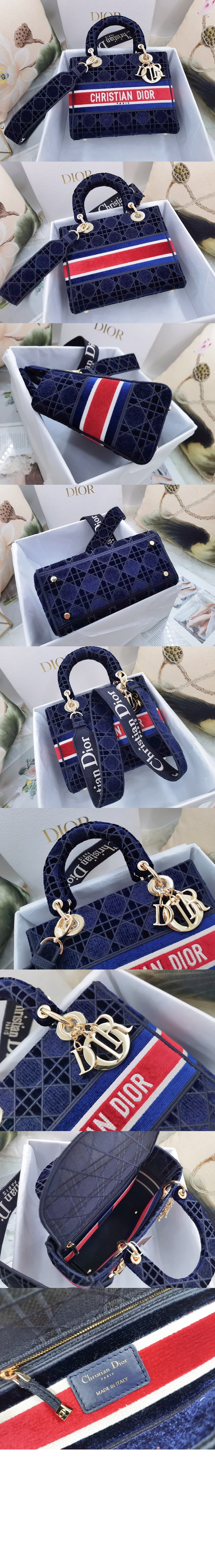 디올 레이디백 디라이트 미듐 M0565