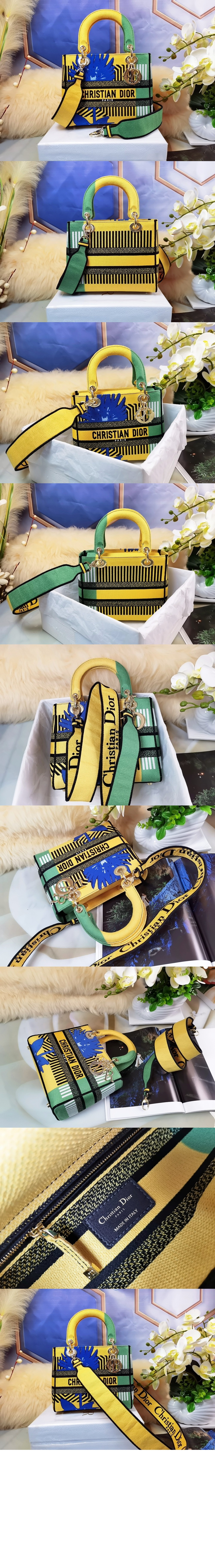 디올 레이디백 디라이트 미듐 M0565