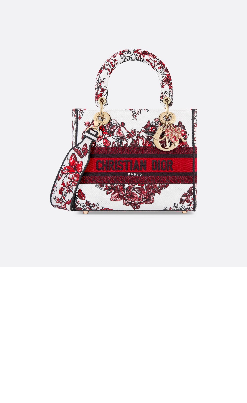 디올 레이디백 디라이트 미듐 M0565