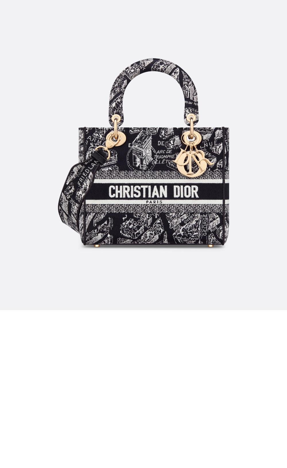 디올 레이디백 디라이트 미듐 M0565