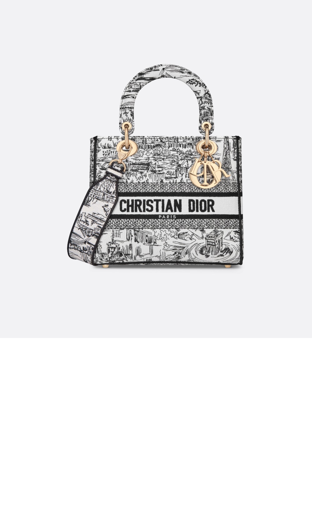 디올 레이디백 디라이트 미듐 M0565