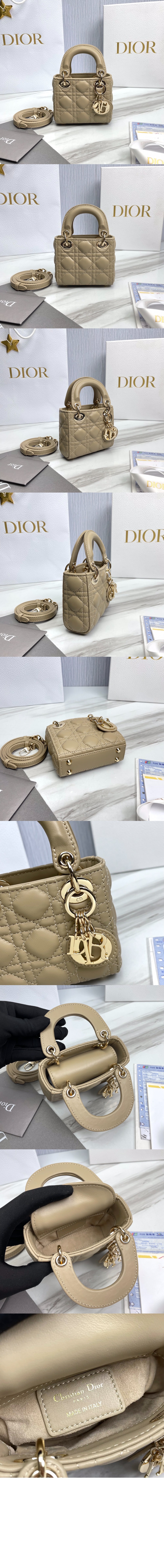 디올 레이디백 마이크로 S0856