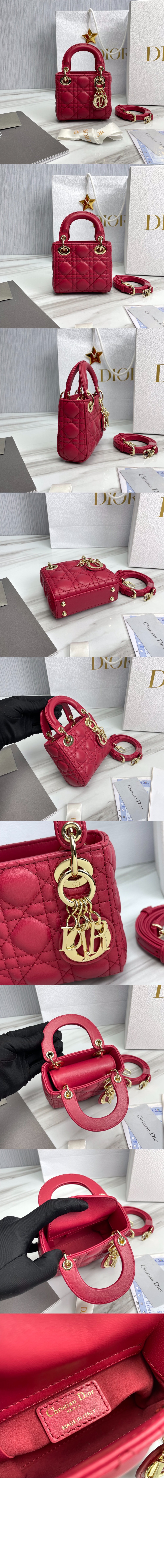 디올 레이디백 마이크로 S0856