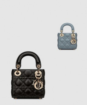 디올 레이디백 마이크로 S0856