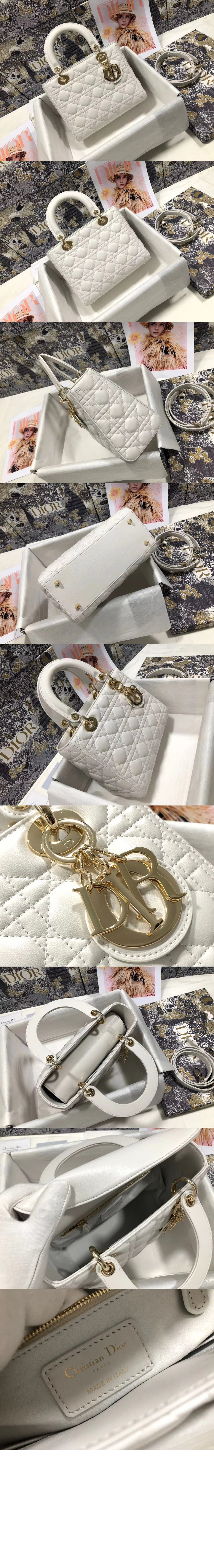 디올 레이디백 디라이트 미듐 M0565