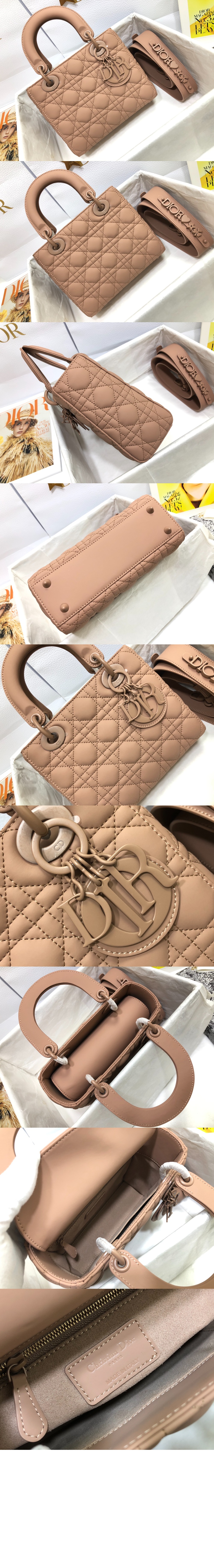 디올 레이디백 ABC M0538