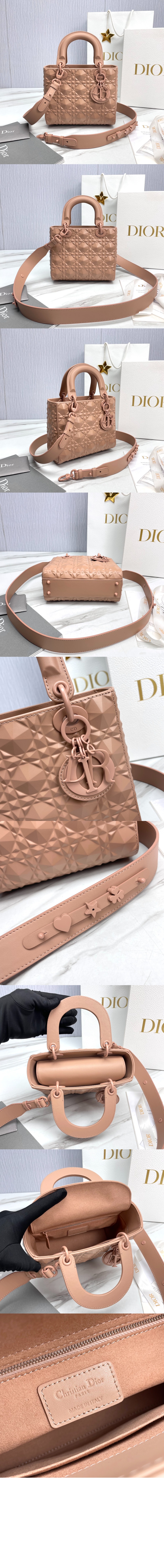 디올 레이디백 ABC M0538