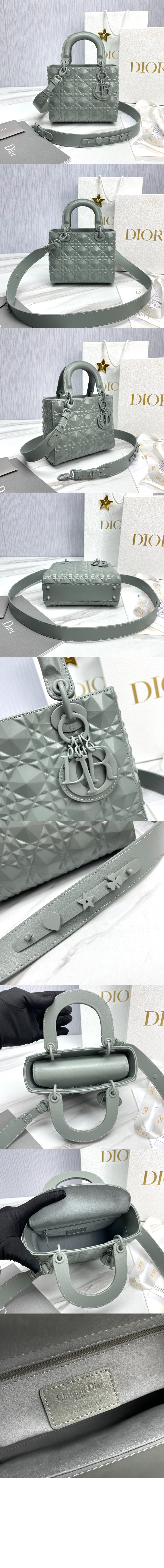 디올 레이디백 ABC M0538