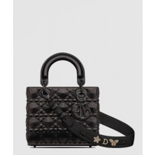 디올 레이디백 ABC M0538