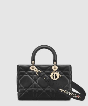 디올 디자이어 레이디백 ABC M1151