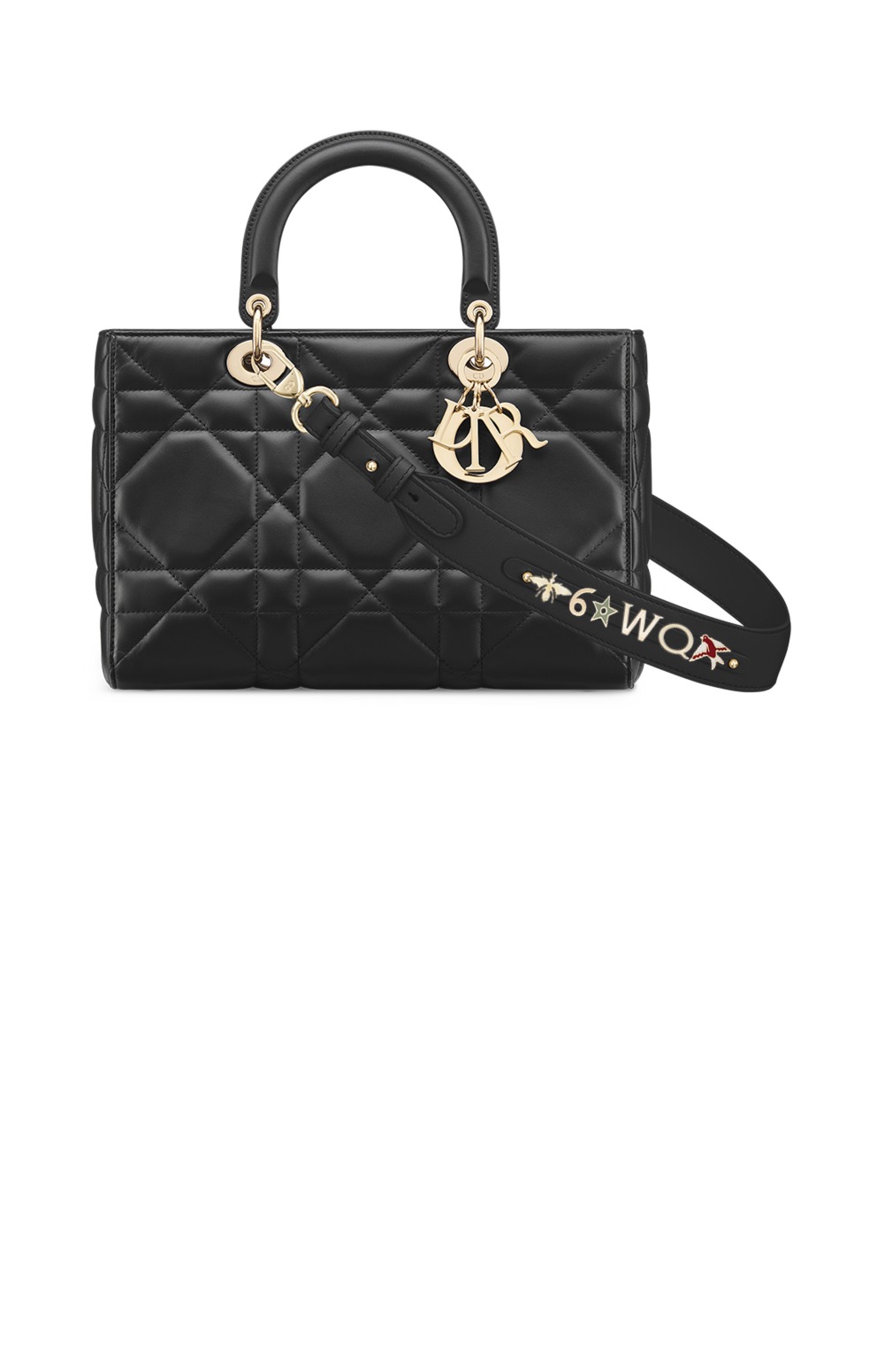 디올 디자이어 레이디백 ABC M1151