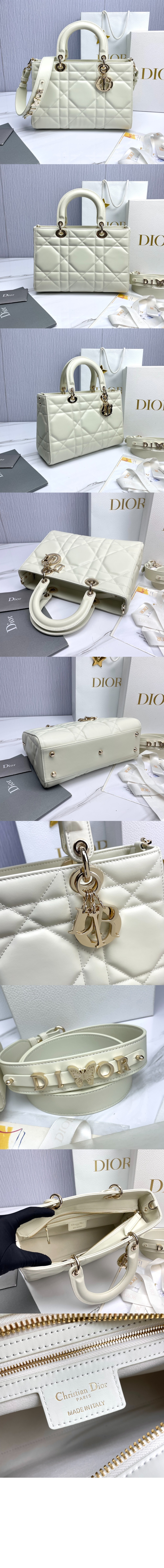 디올 디자이어 레이디백 ABC M1151