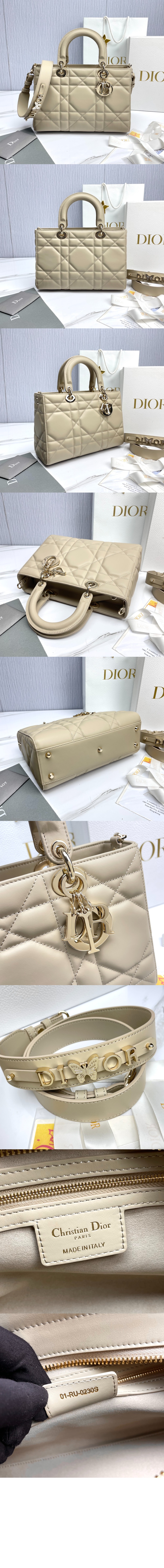 디올 디자이어 레이디백 ABC M1151