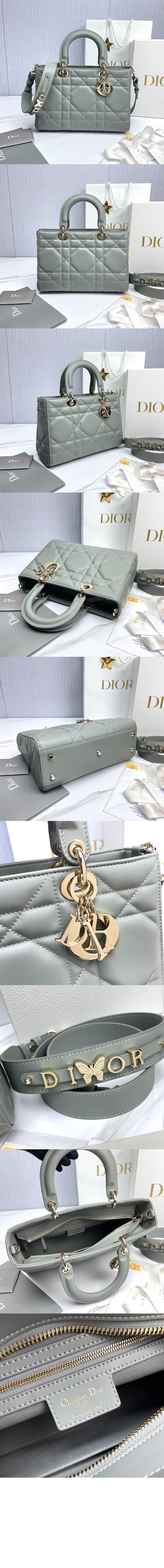 디올 디자이어 레이디백 ABC M1151