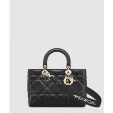 디올 디자이어 레이디백 ABC M1151