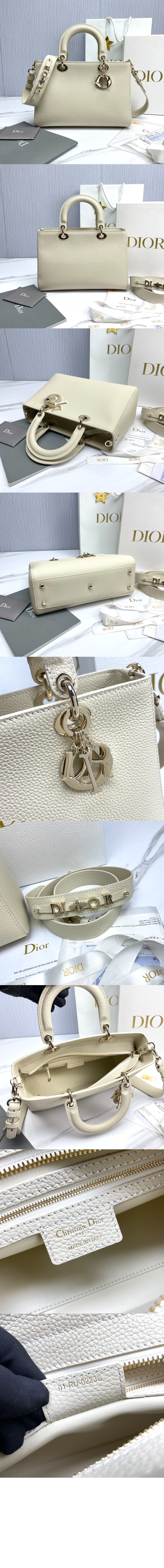 디올 디자이어 레이디백 ABC M1151