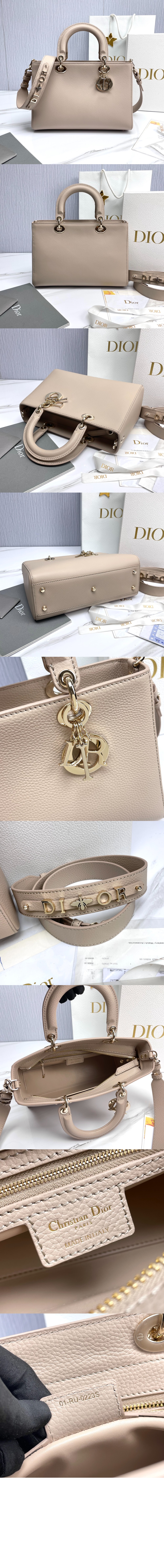 디올 디자이어 레이디백 ABC M1151