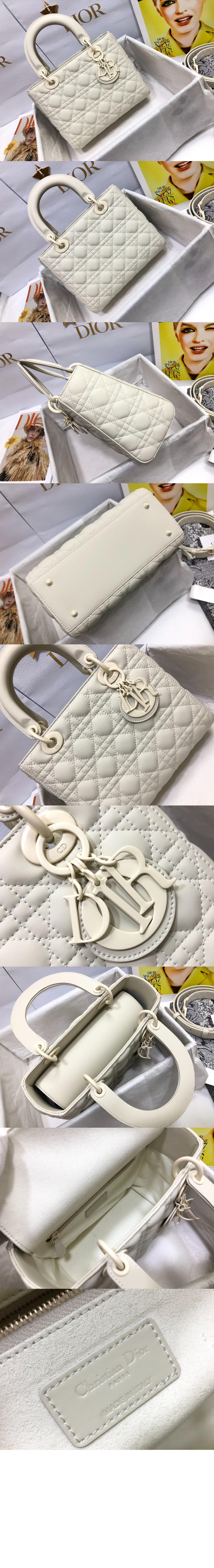 디올 레이디백 디라이트 미듐 M0565