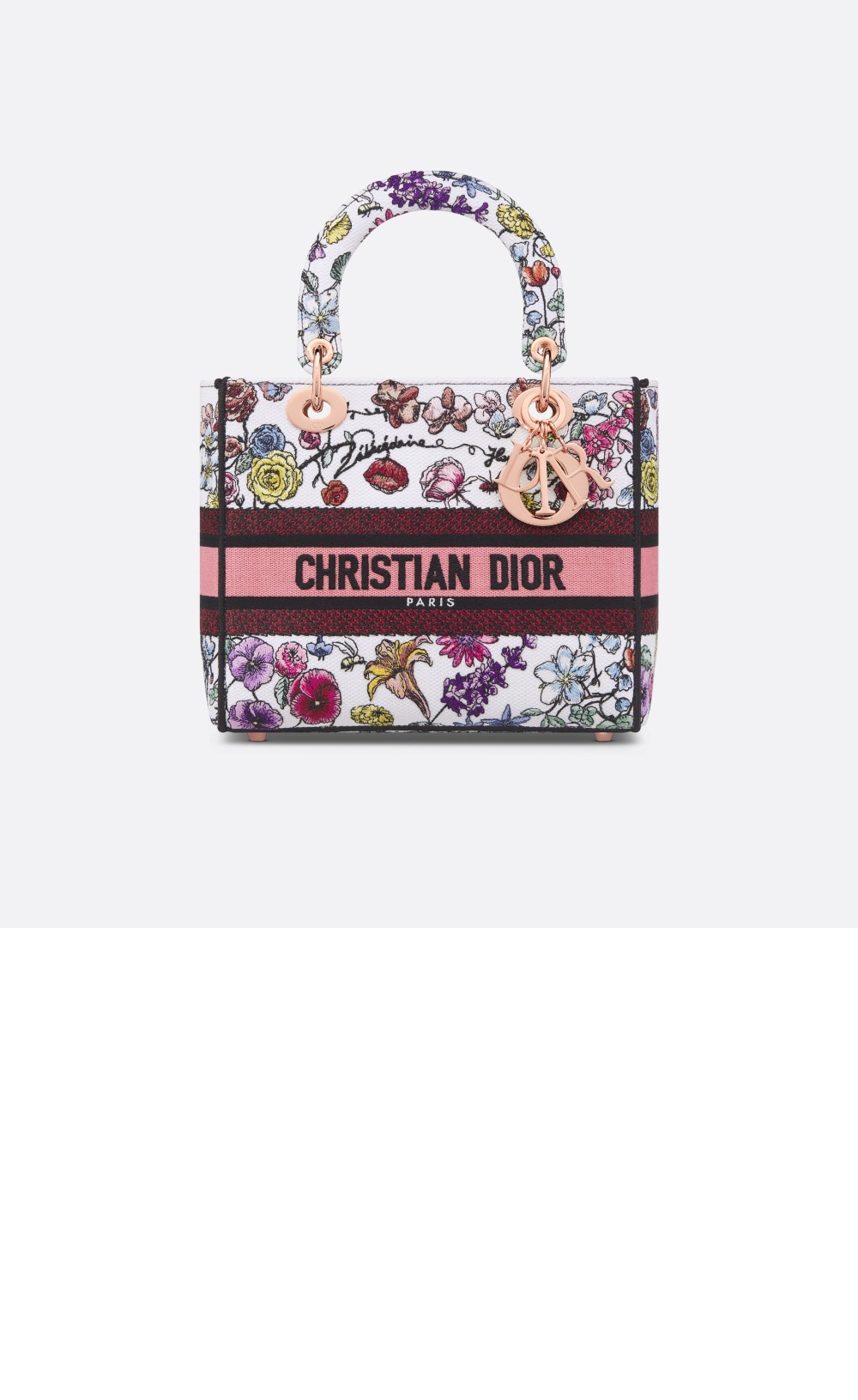 디올 레이디백 디라이트 미듐 M0565