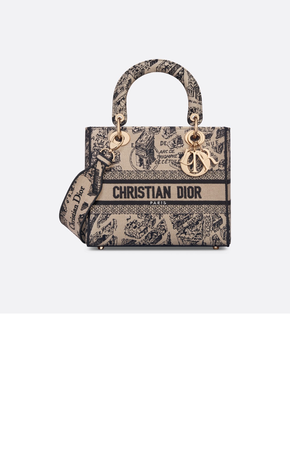 디올 레이디백 디라이트 미듐 M0565