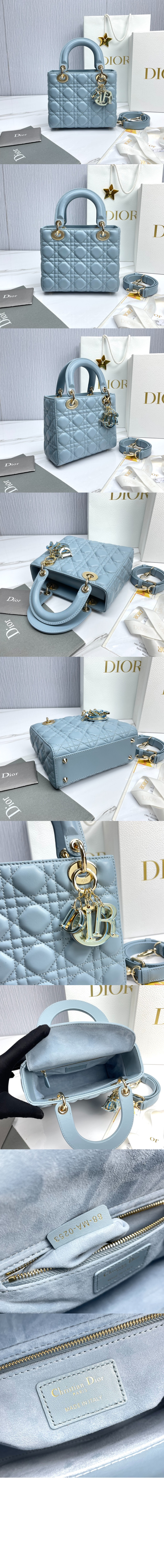 디올 레이디백 램스킨 스몰 M0531