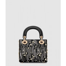 디올 레이디백 미니 M0505