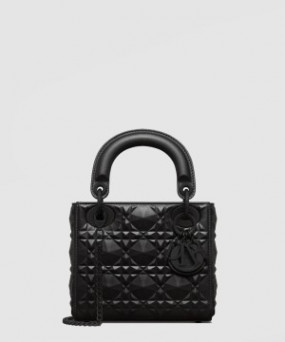 디올 레이디백 다이아몬드 까나쥬 미니 M0505