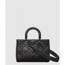 디올 디자이어 레이디백 ABC M1151