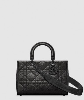 디올 디자이어 레이디백 ABC M1151