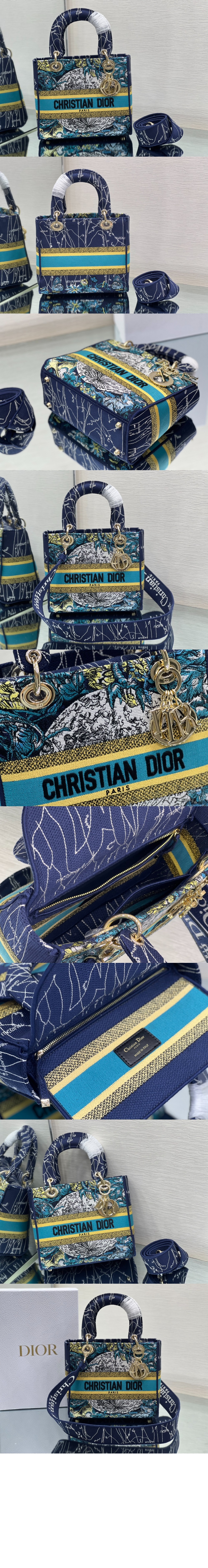 디올 레이디백 디라이트 미듐 M0565