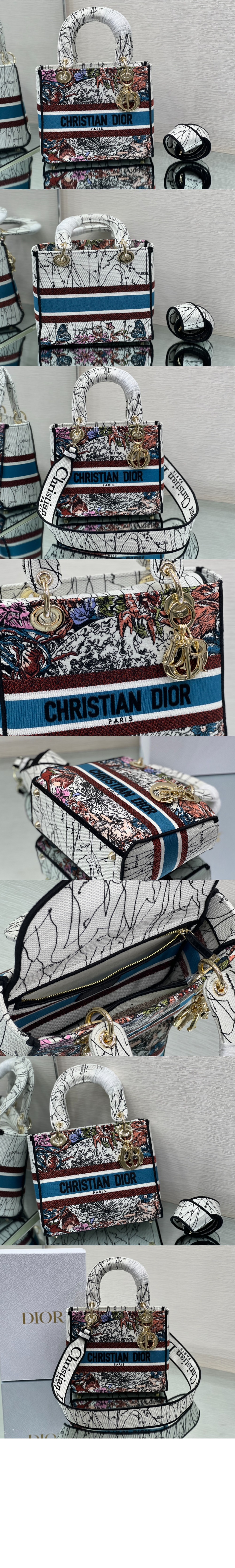 디올 레이디백 디라이트 미듐 M0565