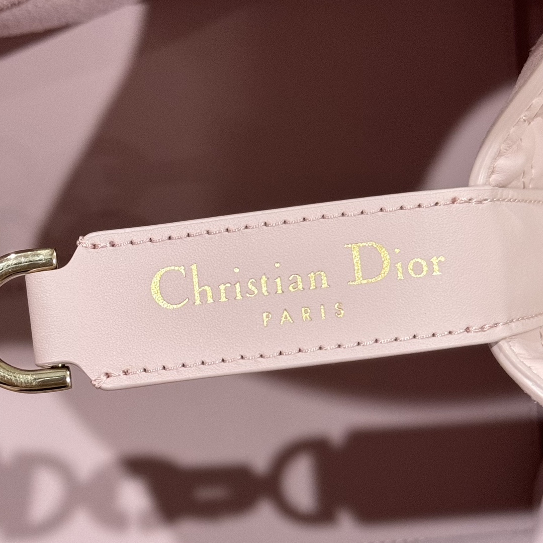 디올 뚜주흐 백 미듐 핑크