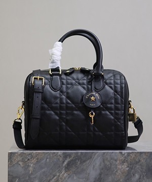 디올 그루브 토트백 25