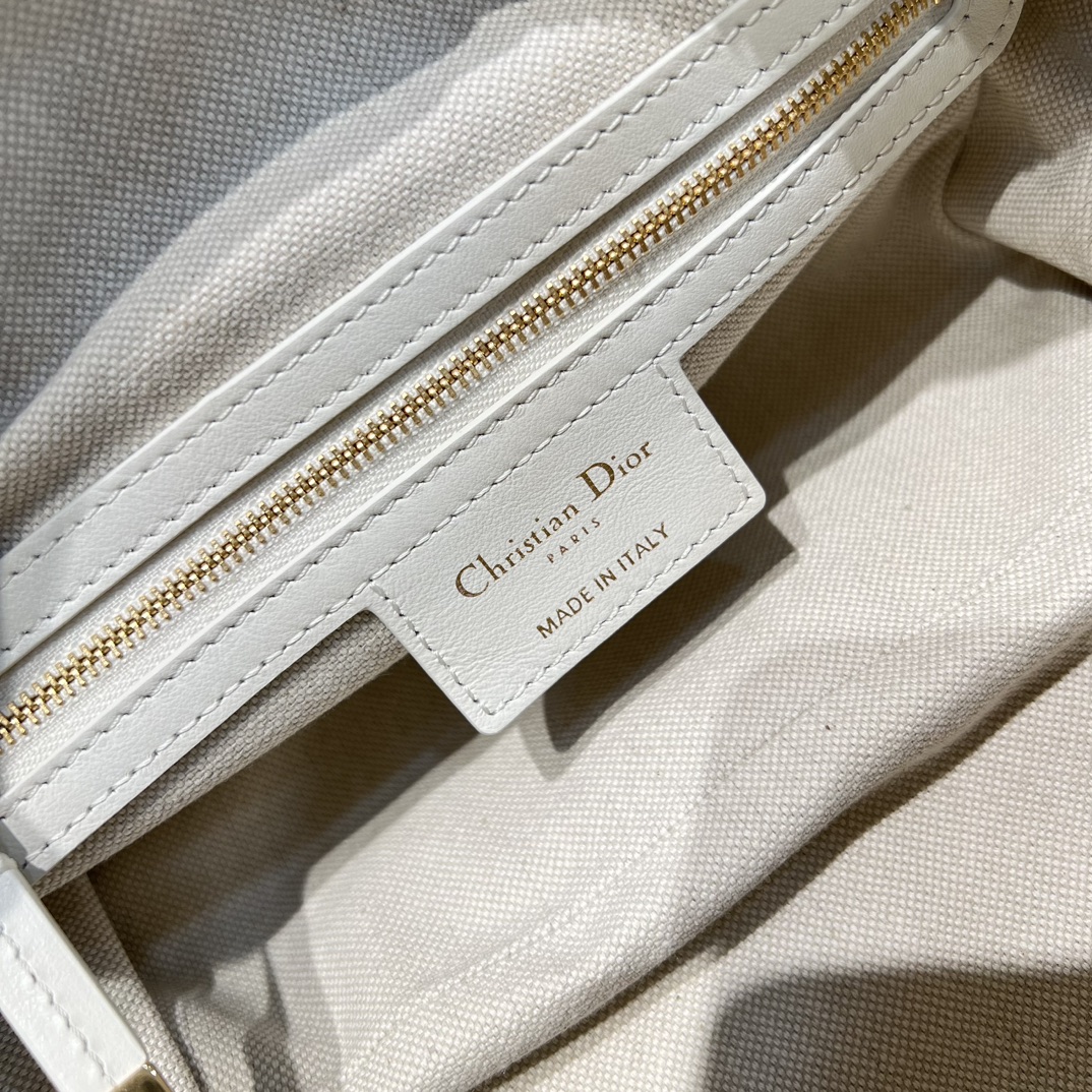 디올 디저니백 스몰