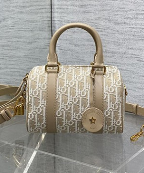 디올 그루브 도트백 20