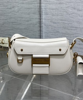 디올 오블리크 스트릿시크 백