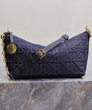 디올 스타 체인 호보 백