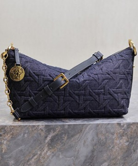 디올 스타 체인 호보 백