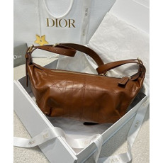 디올 디저니백