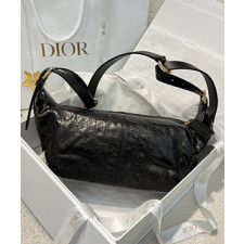 디올 디저니백