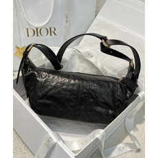 디올 디저니백