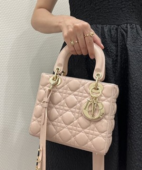 디올 레이디 까나쥬 백 20