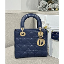 디올 레이디 까나쥬 백 20