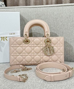 디올 레이디 디조이 미디움 백