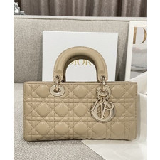 디올 레이디 디조이 미디움 백