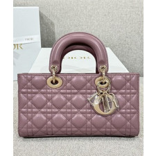 디올 레이디 디조이 미디움 백