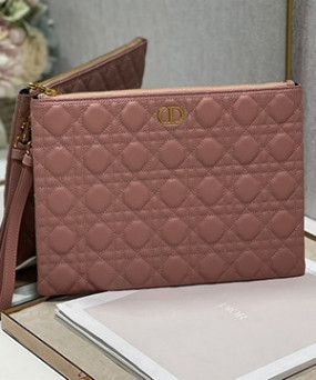 디올 미디움 카로 데일리 파우치