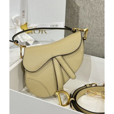 디올 레더 새들 백 19